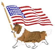 sable sheltie with USA flag