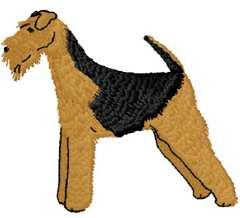 airedale terrier standing