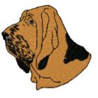 bloodhound head