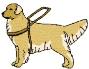 service dog golden retriever