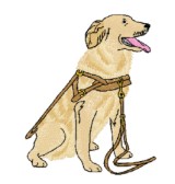 service dog, golden retriever