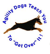 agility dogs teach
