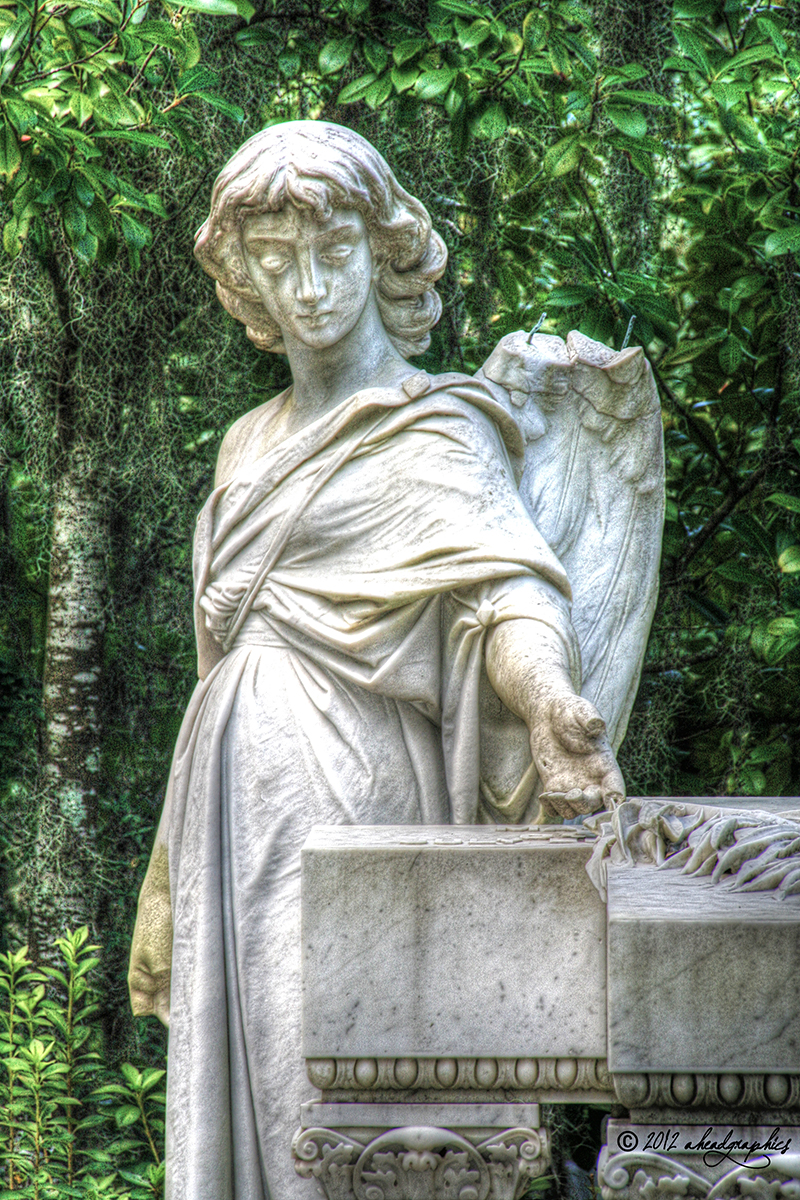 Angel @ Bonaventure