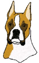 boxer head 2