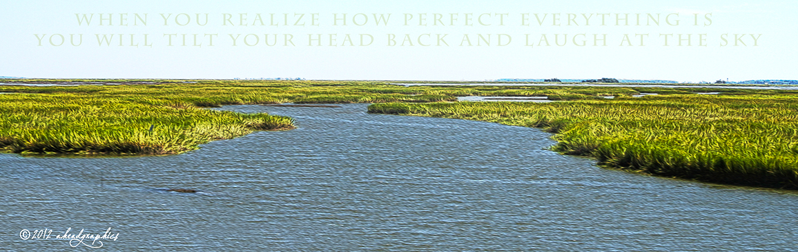 A Charleston Marsh