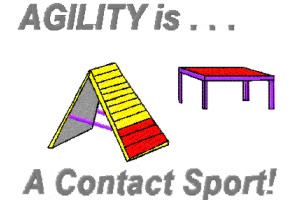 agility is contact sport