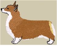 corgi pembroke