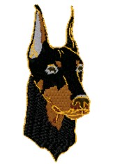 doberman head 3