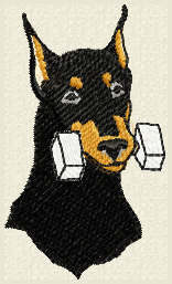 doberman with dumbell