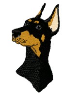 doberman head 2