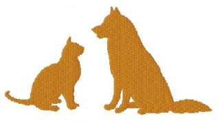 cat and dog