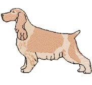 cocker spaniel english