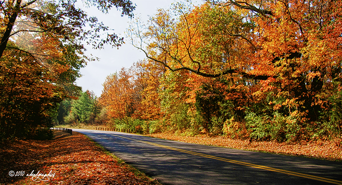 Autumn 2010