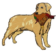 golde retriever with pheasant