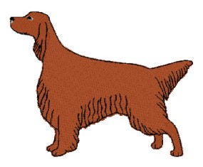 irish setter stand