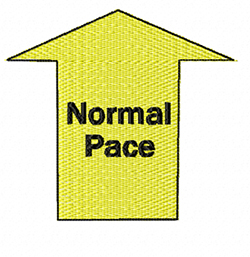 rally obedience design normal pace