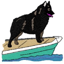 schipperke on a boat