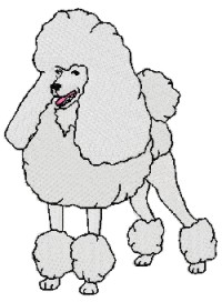 poodle standard