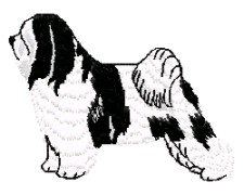 tibetan terrier