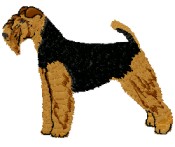 welsh terrier