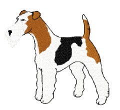 wire fox terrier