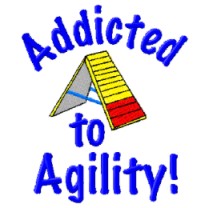 addicted to agility