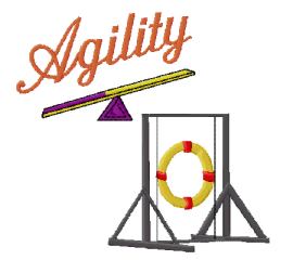 agility group with teeter and tire