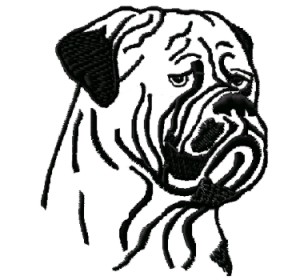 bullmastiff head