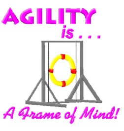 agility is a frame of mind