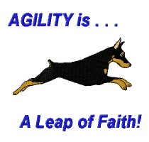 agility doberman