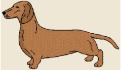 dachshund smooth stand 