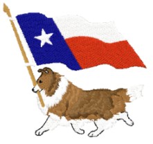 sheltie with texas flag