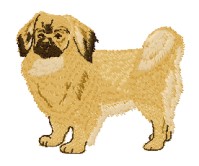 tibetan spaniel